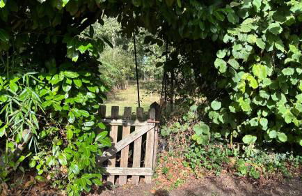 Le Petit Bois d'Amour - Foto 13