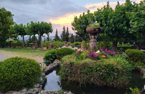 Masia Sagués - Foto 4