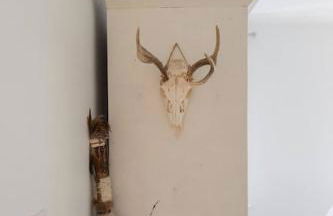 Elegant White Cottage, Venice Beach, California - Foto 18