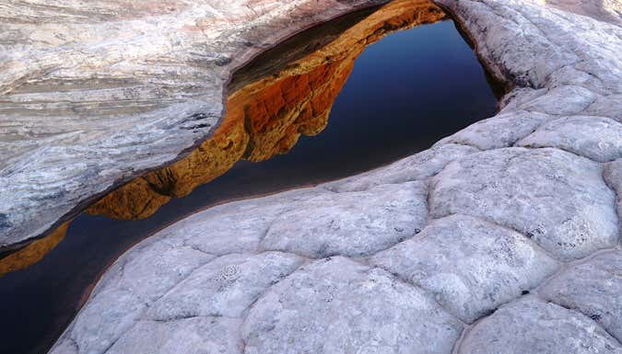 Visitando White Pocket