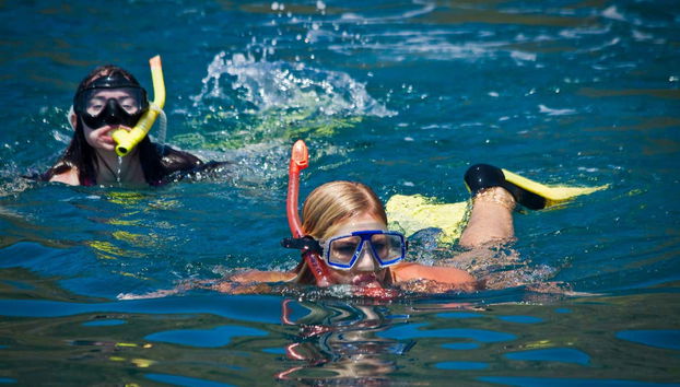 Haciendo snorkel en las inmediaciones de Isla