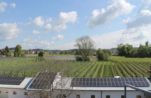 Ferienhof Schöngarten, Sonja & Stefan Büchele GbR - Foto 16