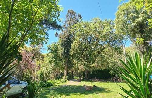 CHALÉ SIMPLES COM WI-FI SPLIT COZINHA COMPLETA SALA QUARTO BANHEIRO A 2 KM DO centro - Foto 8