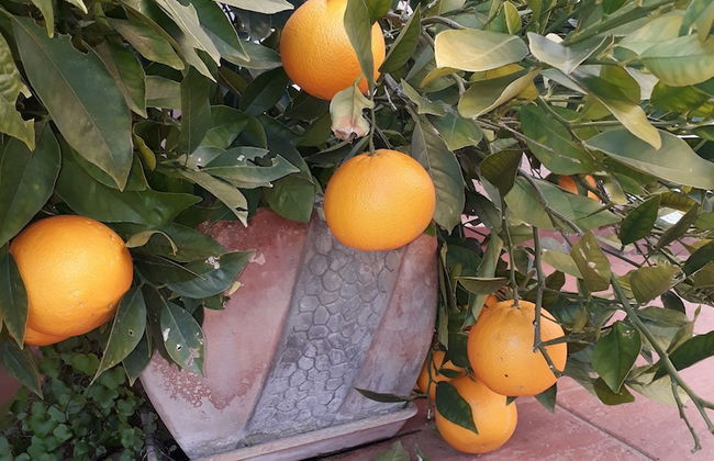 Villa Jadranka Privlaka - Foto 47