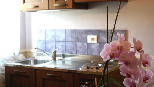 Agriturismo La Corte - Foto 5, stove