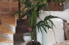 Loft Giuly - Foto 20