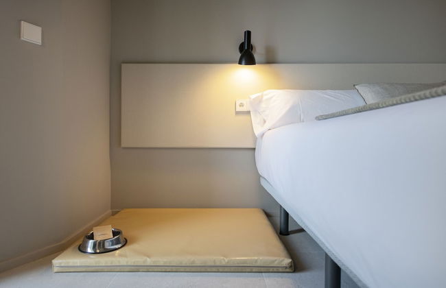 APARTAMENTS LA CARPA - Foto 17