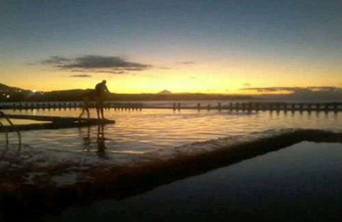 GRAN CANARIA Oasis La Guancha - Photo 28