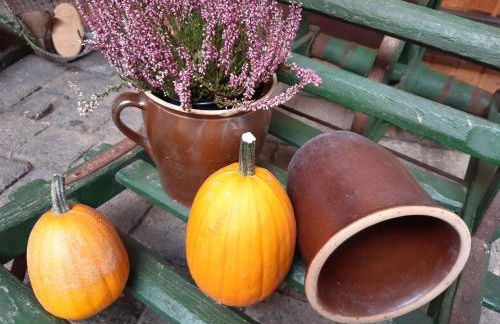 Ferienwohnungen Landleben - Foto 37