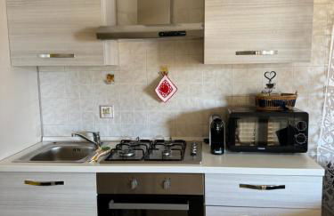 Butterflyhouse2 - Foto 16