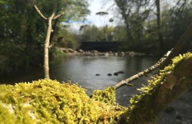 Greencastle - Foto 30