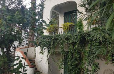 Villa Su 3 Piani Con Giardino - Foto 1