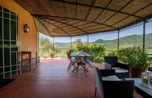 Ollie`s house - Foto 12