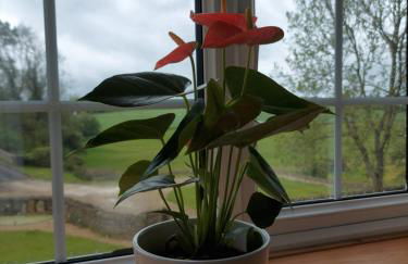 Thames Head Wharf - Historic Cotswold Cottage with Stunning Countryside Views - Foto 34