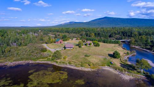 Moose Dance - Foto 2