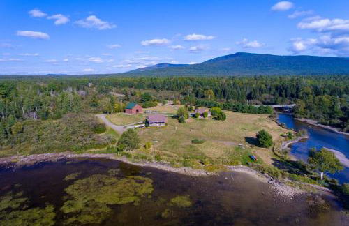 Moose Dance - Foto 2