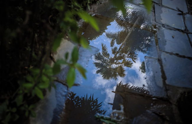 Mingtang Boutique Cottage - Photo 65