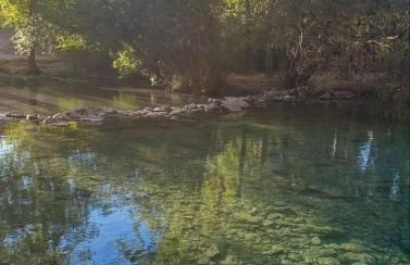 Casa Rural las Rosas de Benaojan - Photo 9