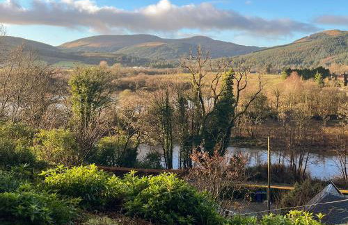 The Holly Tree Cottage - Foto 1