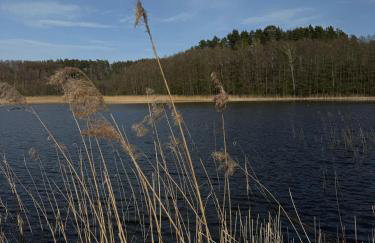 Warmia Domek Bukowy - Foto 38