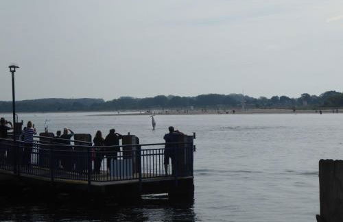 Apartment in Alt Travemünde by Interhome - Foto 28