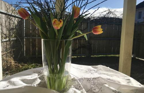 Kleines Haus am Hafen - ruhig und grün am Ortsrand - Foto 18