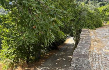 Casa das Oliveiras - Manteigas - Foto 29