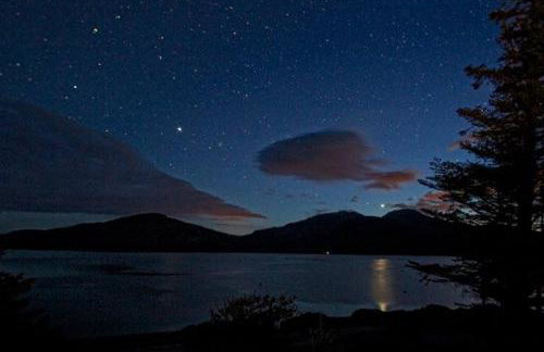 The Green House - Foto 18