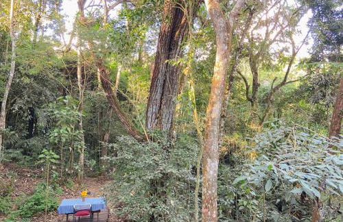 Chalé na Floresta - Refúgio Natural - Photo 19