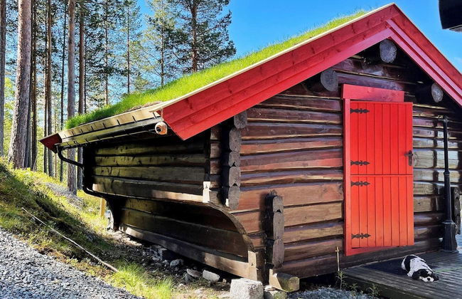 6 Person Holiday Home in Rendalen-by Traum - Foto 19