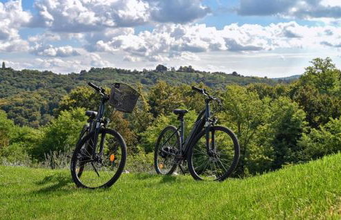 Amazing Home In Banfi With Sauna - Foto 16