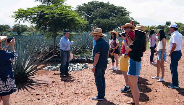 Day Trip to Tequila - Foto 2