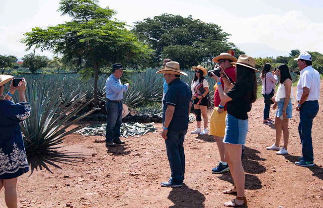 Day Trip to Tequila - Photo 2