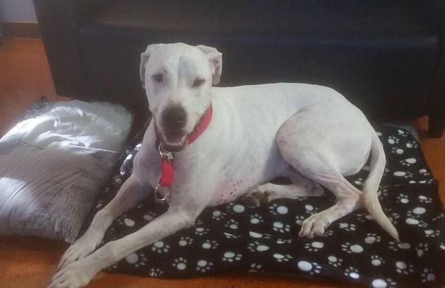 Byron Bay Rainforest Resort - Photo 10