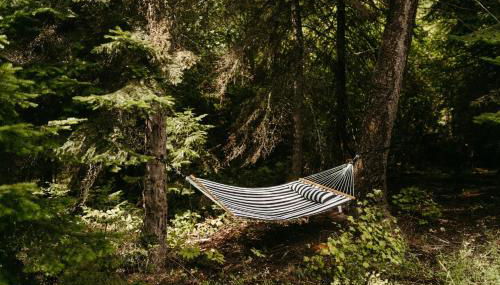 The SKI HAUS A Montana Tiny Cabin Forest Retreat - Foto 3