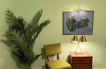 Chic 50s Time Capsule Downtown/OU Med/OK Capitol - Foto 24