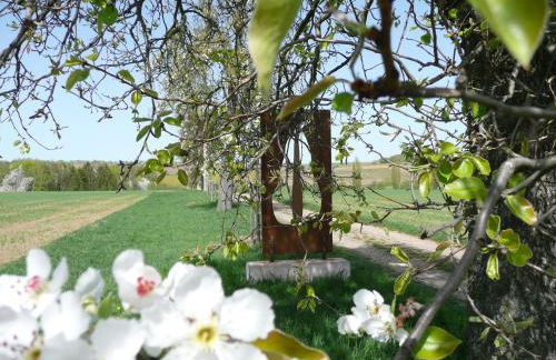 Ferienwohnungen Haus Sauer - Foto 10