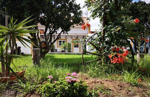 Casa do Lagar - Foto 47