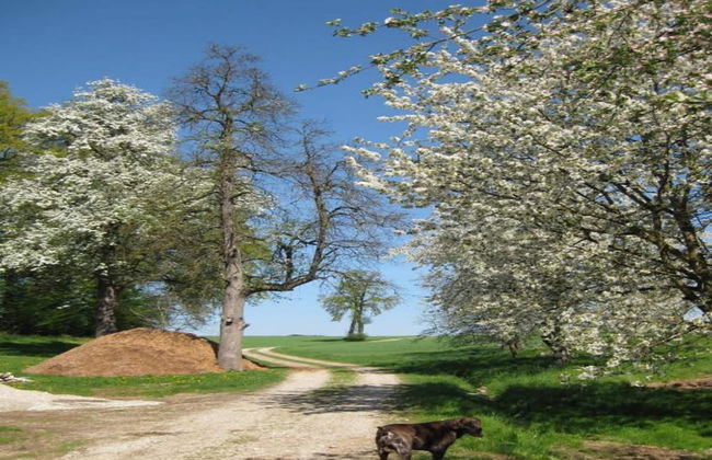 Wohnung in Rotthalmunster mit Garten - Foto 27