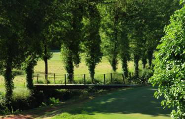 Rilhadas Casas de Campo - Foto 73