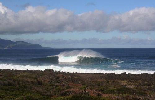 Dream By The Sea - Photo 56