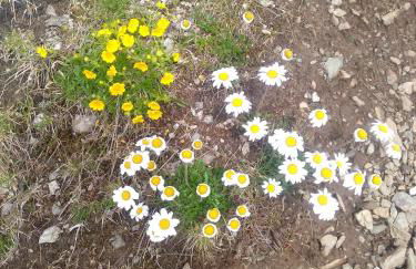 Villgraterhof - Foto 24