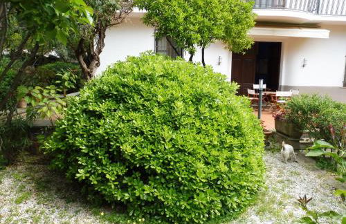 Residence Santa Maria Suites - Foto 49