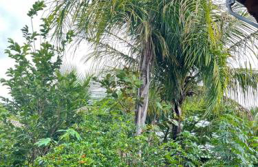 Raízes do Cerrado - Foto 6