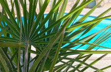 Villa Zara - Photo 3