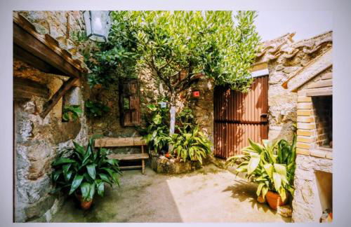 Tu Casa de Pueblo - Photo 4