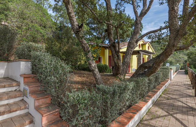 Mezzo Ortano - Photo 35