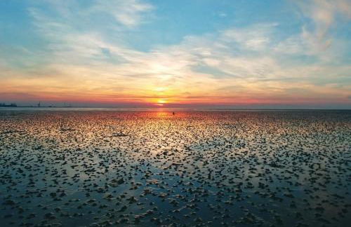 Appartment 129 in Tossens - Foto 13