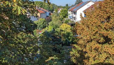 Apartment in Ludwigsburg - Foto 5, Garden view