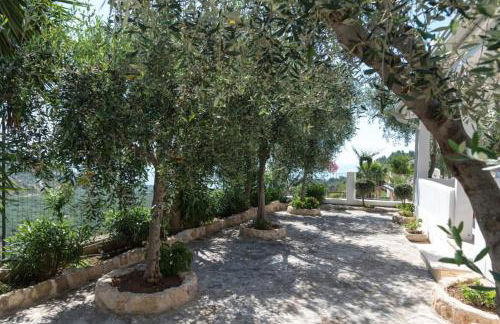 Residence Montelci - Foto 5